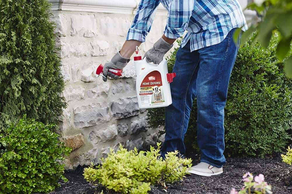 person using a roach repellent on the wall