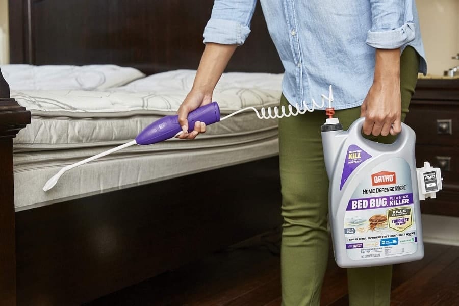 7 Best Bed Bug Sprays in 2024 [Detailed Reviews]