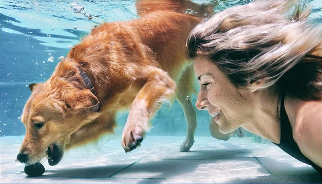 woman and the dog under the water