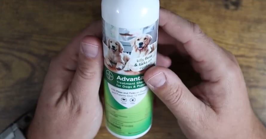Advantage Flea and Tick Treatment Shampoo for Dogs 