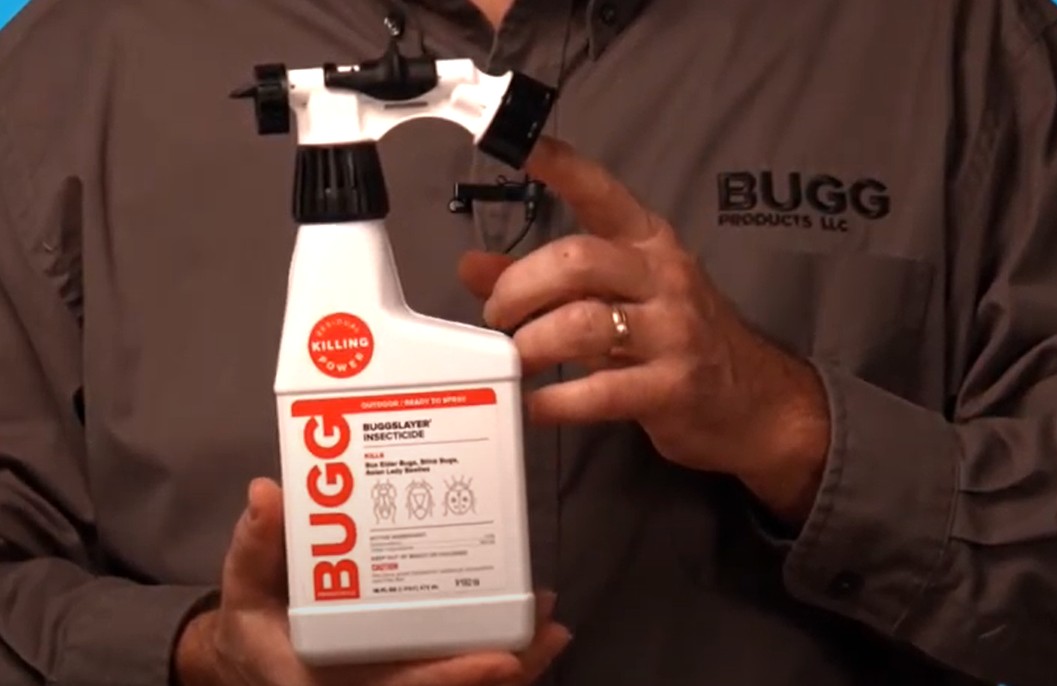 BUGGSLAYER Insecticide Concentrate
