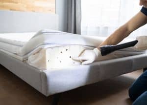 Bed Bug Infestation