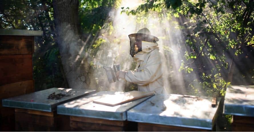 Beekeeper using a smokehouse