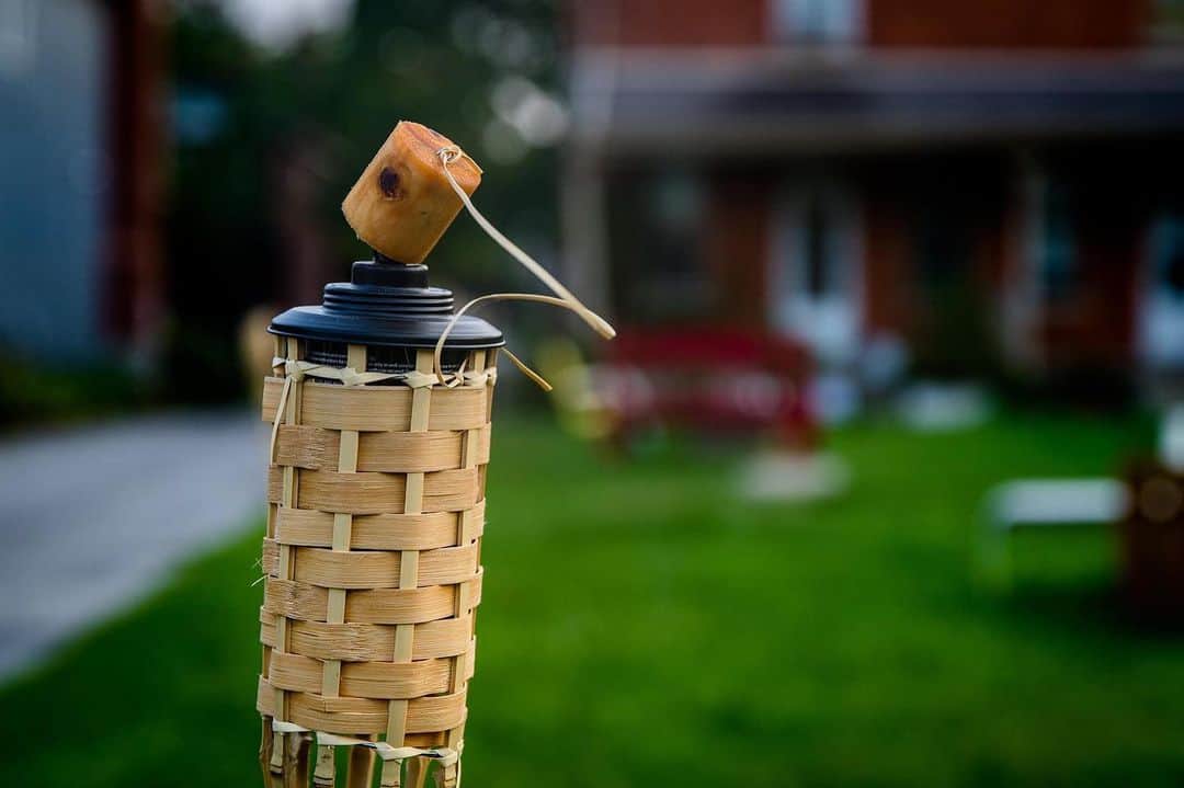 Best Tiki Torch Fuel for Mosquitoes