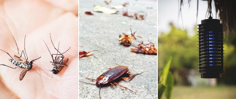 11 Best Ultrasonic Pest Repellers in 2023 [Detailed Reviews]