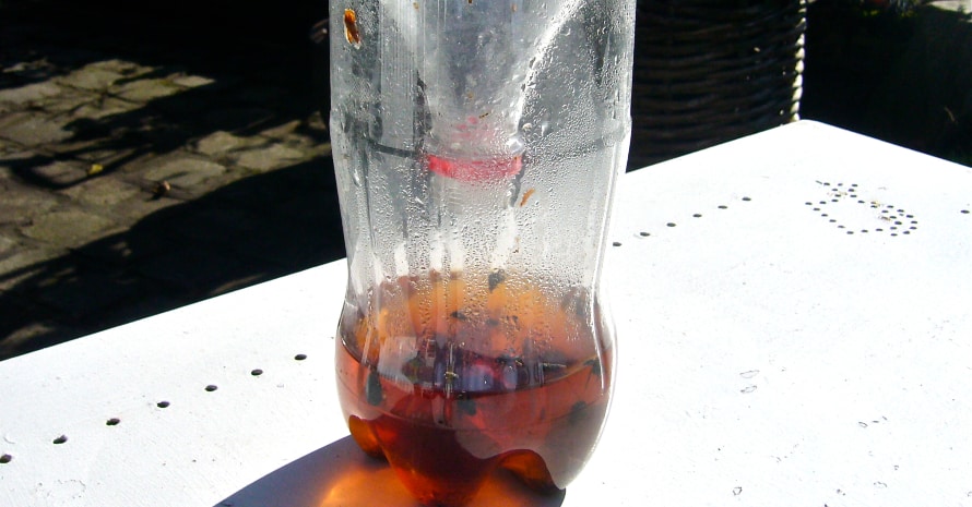 homemade mosquito 2 liter bottle