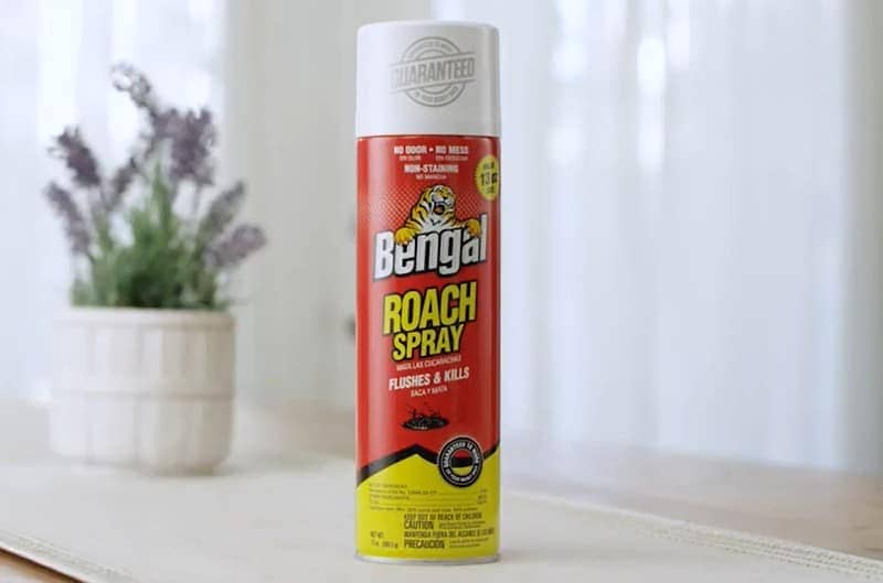 Bug Spray for 6 Months Active Cockroach Prevention