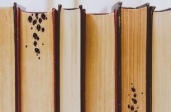 Bed bugs in books