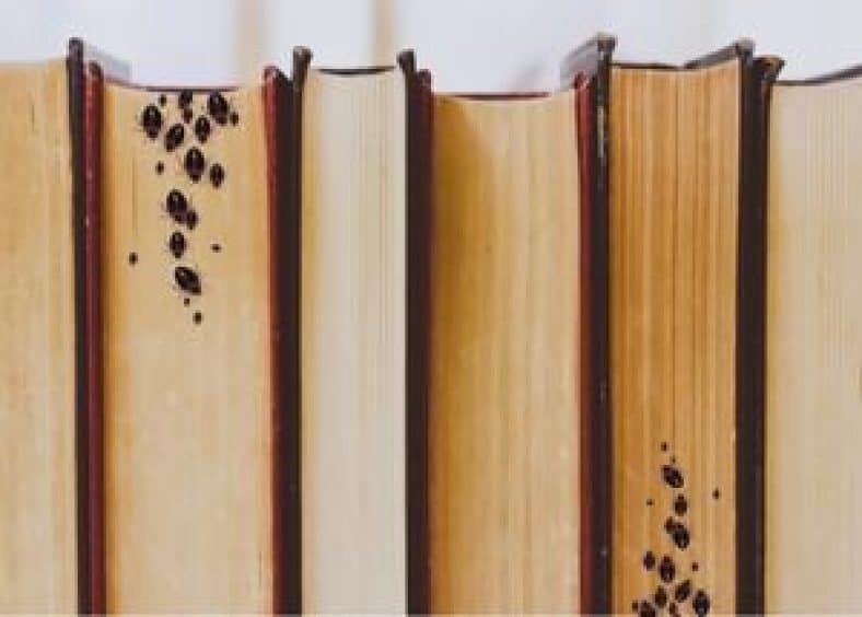 Bed bugs in books