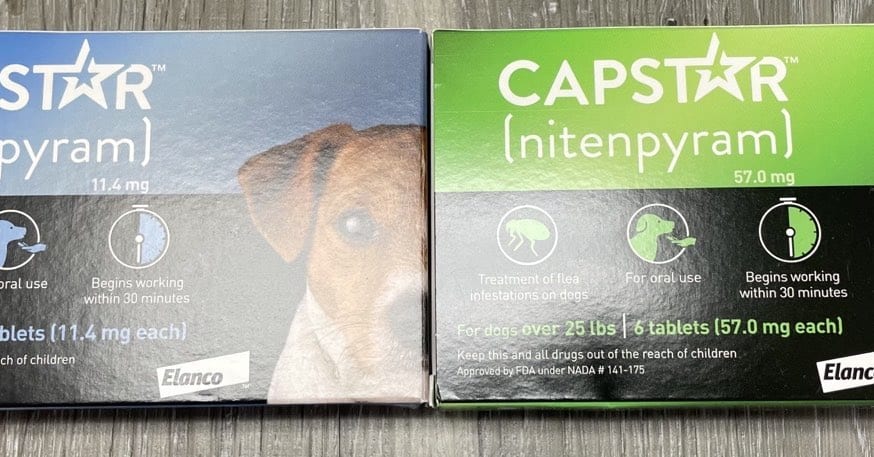 Capstar Fast-Acting Oral Flea Treatment for Large Dogs