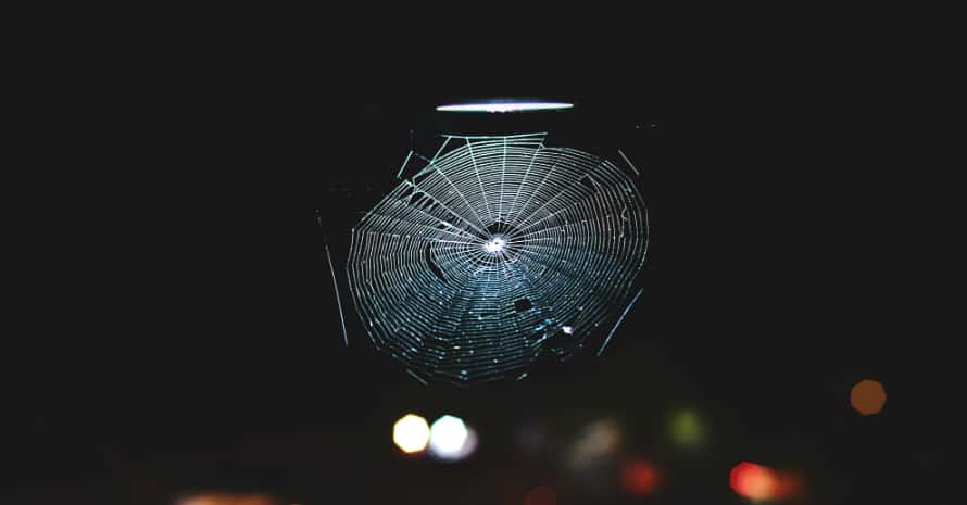 Cobweb under the lantern