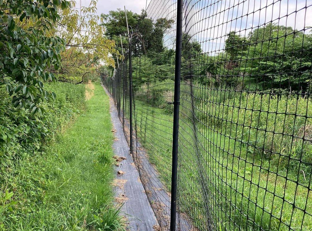 De-Bird Garden Fencing