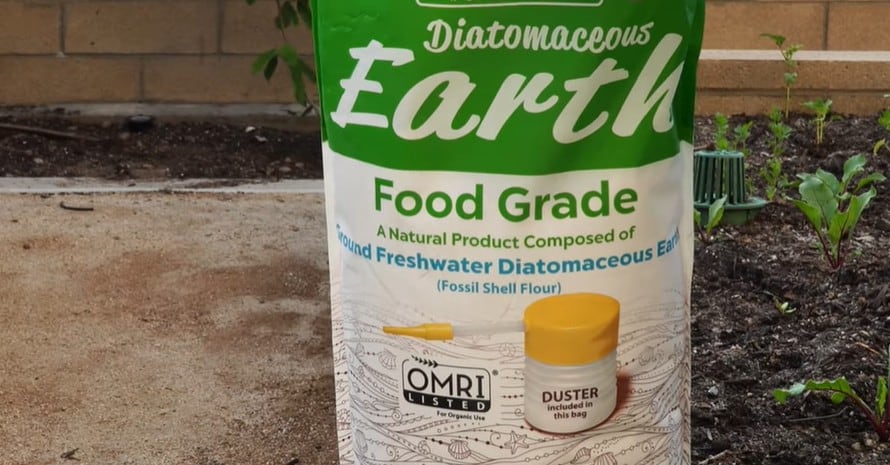 Diatomaceous Earth Food Grade