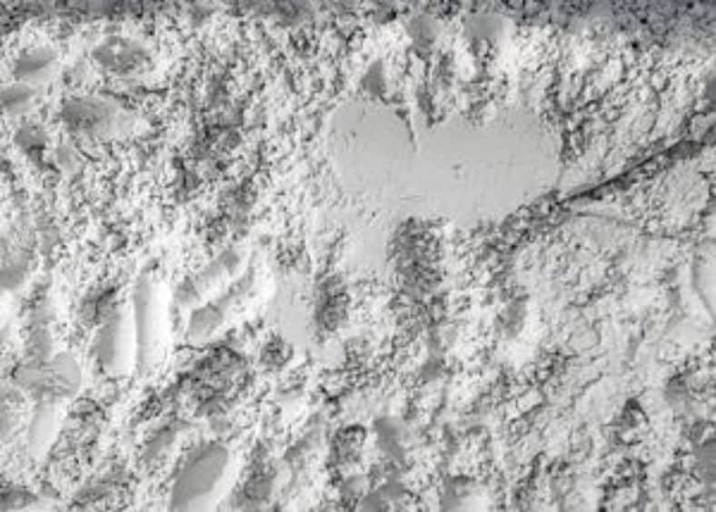 Diatomaceous Earth texture