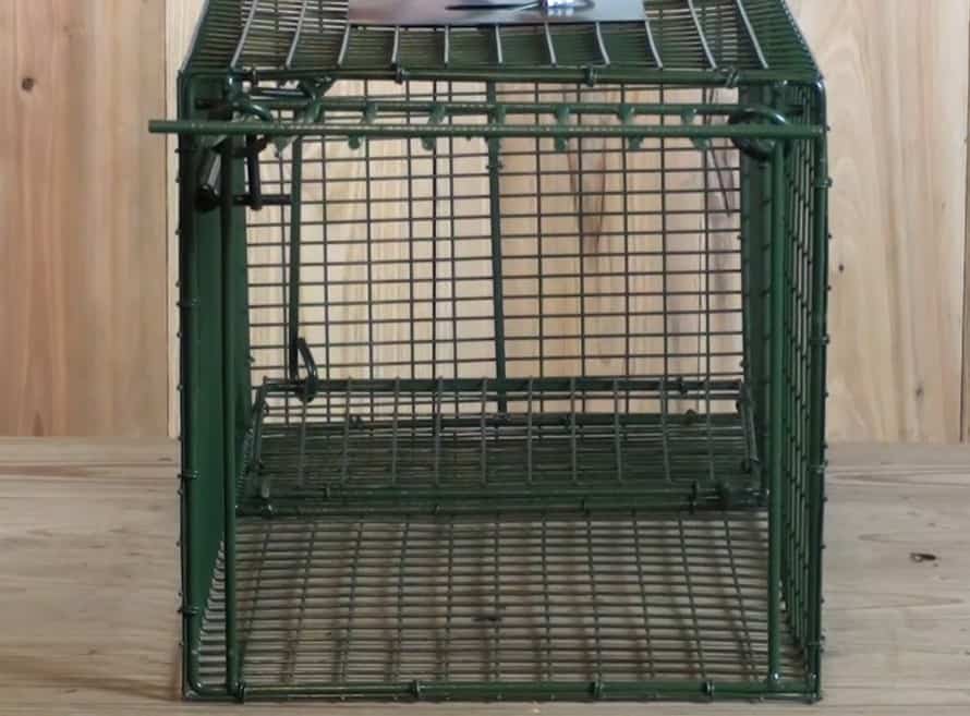 Duke Traps Heavy Duty Large Cage Trap