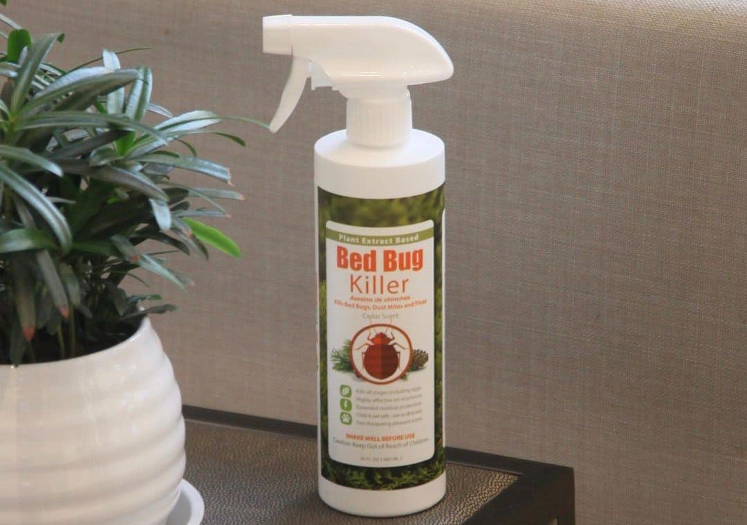 EcoRaider Bed Bug Killer Spray