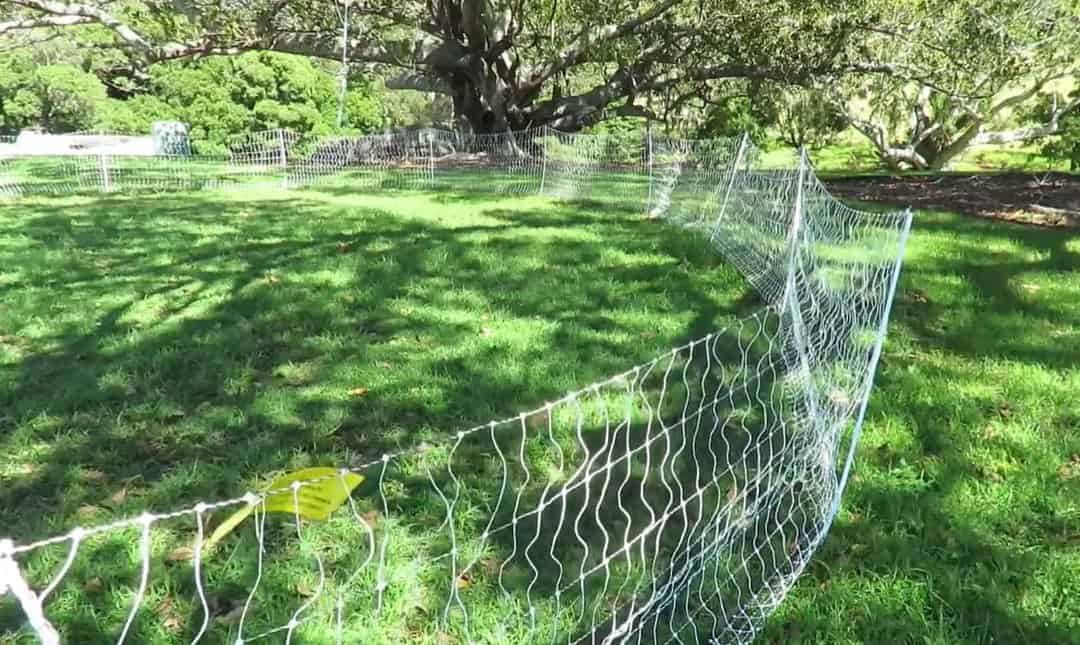 Electric Chicken Net Fence