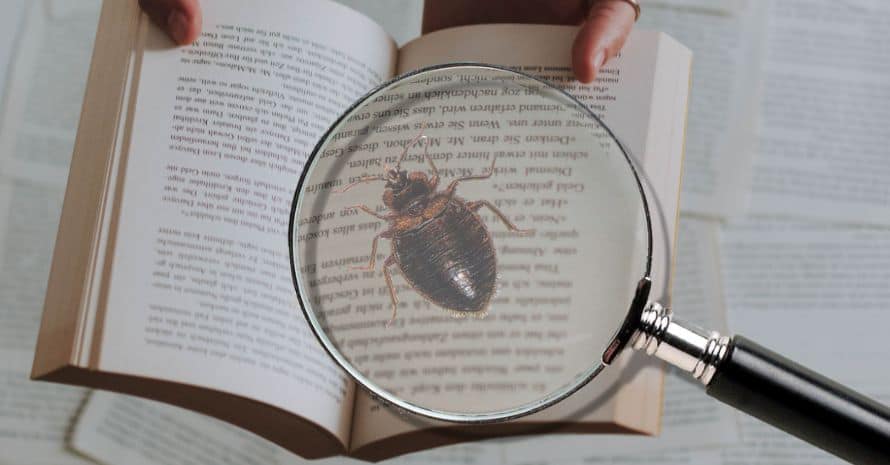 Finding bed bugs in book