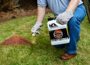 man using fire ant killer on his lawn