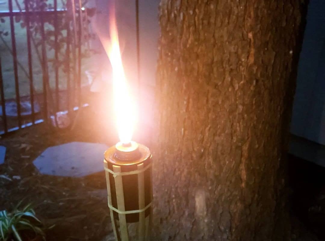 Firefly Eucalyptus Clean Fuel Lamp Oil