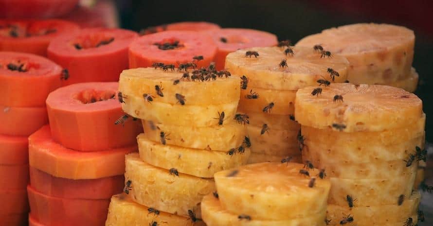 Flies on Fruits, Chichicastenango