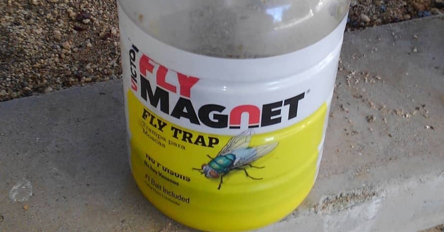 Fly Magnet 1-Quart Reusable Trap With Bait