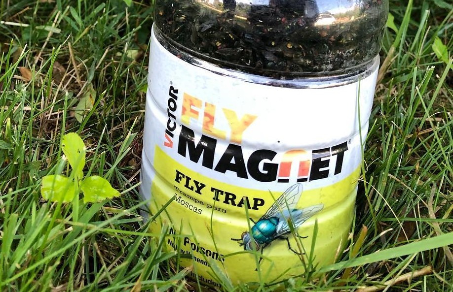 Fly Magnet Reusable Trap with Bait