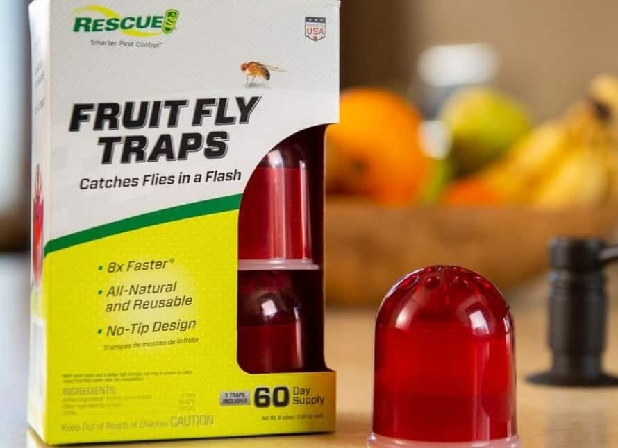 Fruit Fly Traps Set of 2 Traps