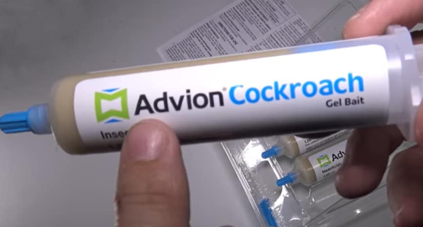 Gel for Cockroaches Advion from Syngenta