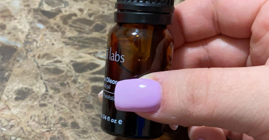 Gya Labs Cedarwood Essential Oil