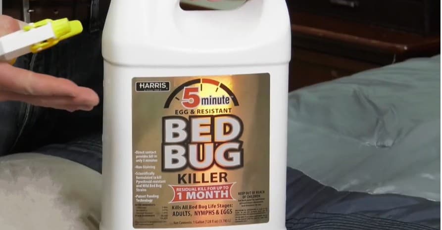 HARRIS 5 Minute Bed Bug Killer 