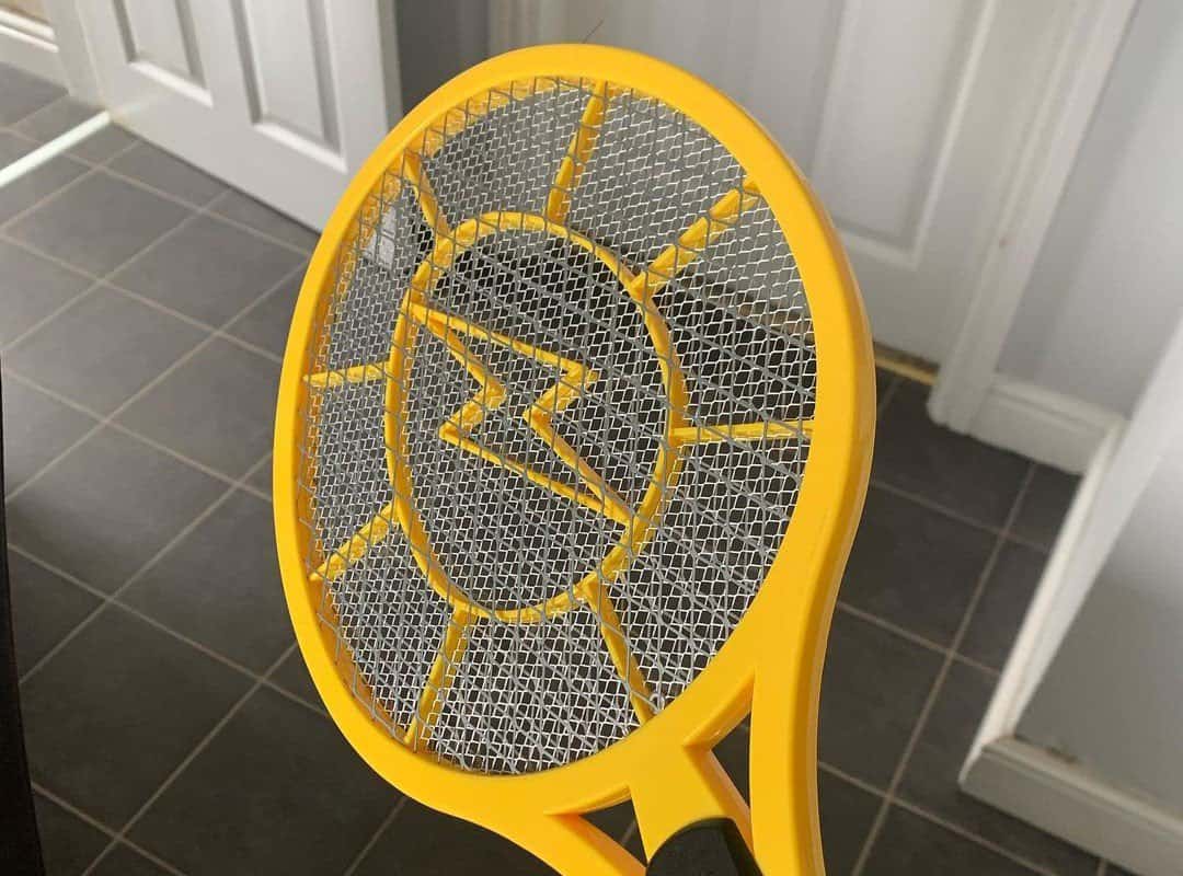 Handheld Electric Mosquito Zapper