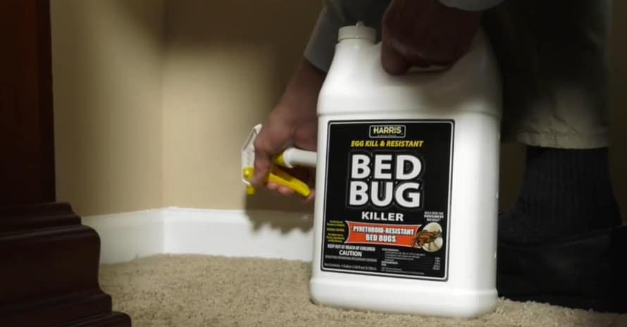 Harris Bed Bug and Egg Killer, Toughest Liquid