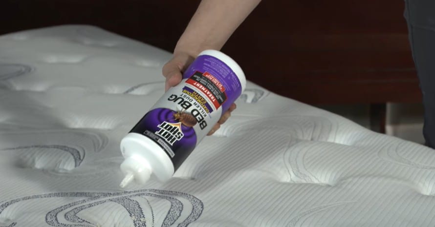 Hot Shot Bed Bug Killer Dust