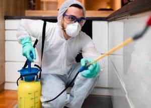 House pest control
