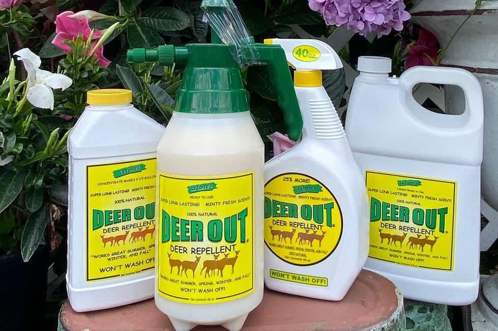 How to Apply Deer Repellent