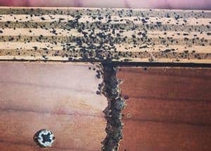 How to Check Furniture for Bed Bugs