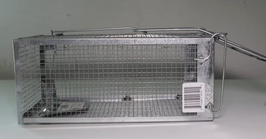 Kensizer Humane Rat Trap