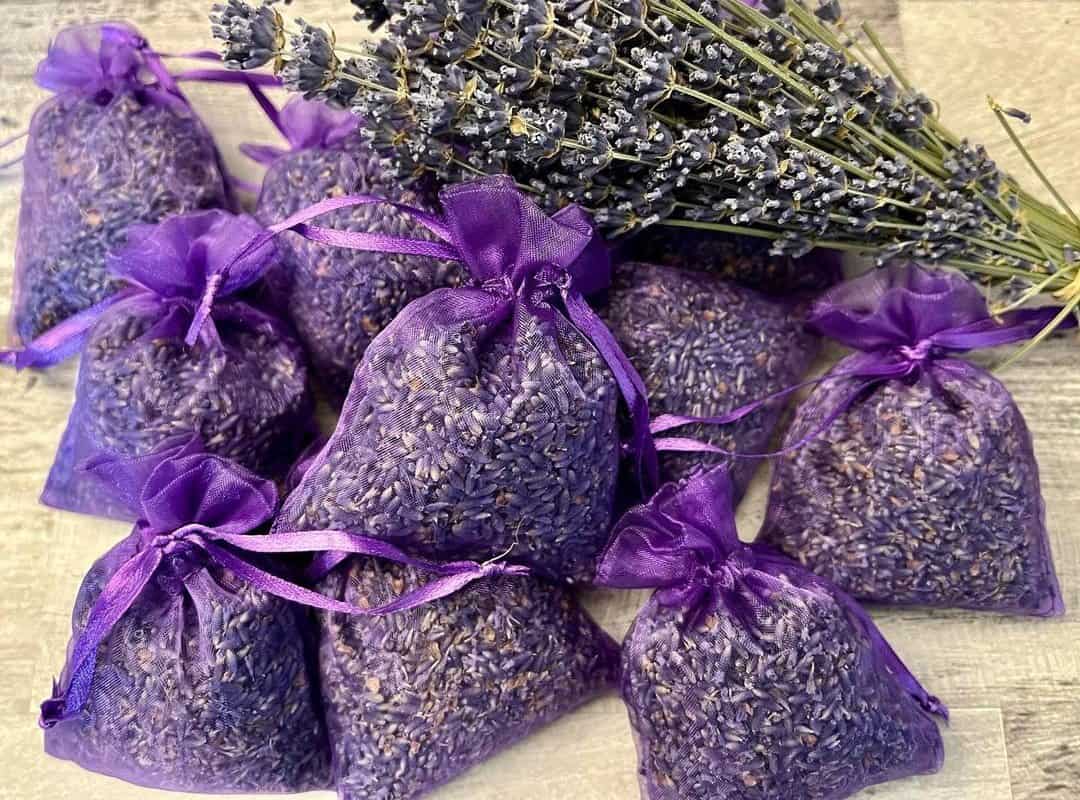 Armour Shell Lavender Sachet and Cedar Bags - Moth Repellent Sachets (20  Pack) Home Fragrance for Drawers and Closets. Natural Clothes