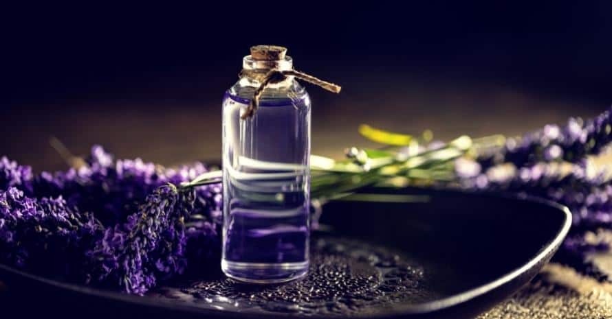 Lavender oil