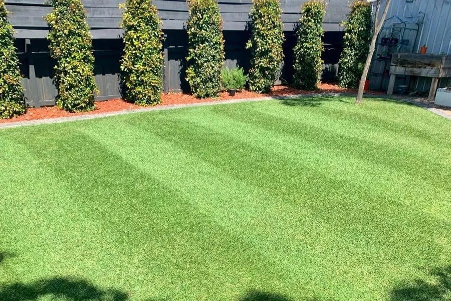 Clean Lawn