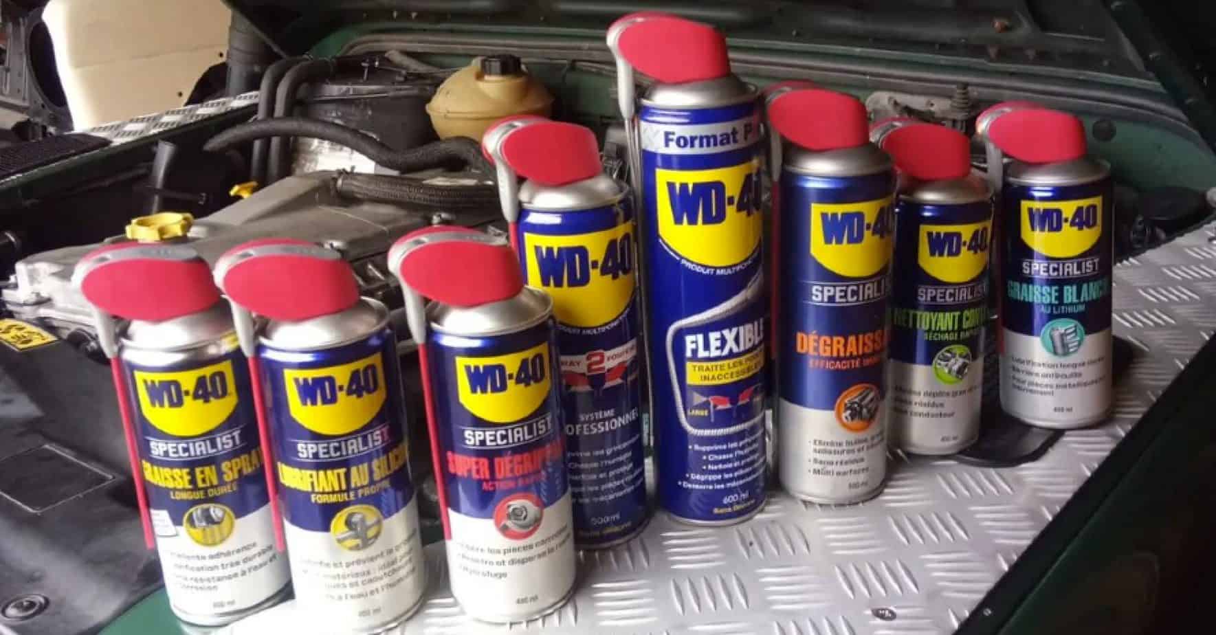 How To Get Rid Of Carpenter Bees Wd40