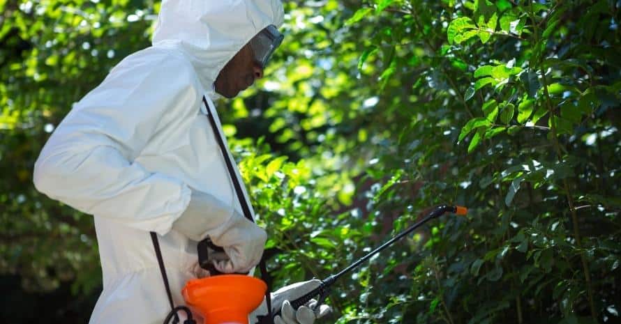 Man doing pest control in the yard