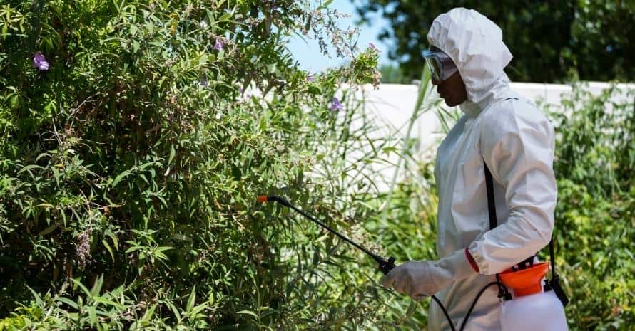 Man doing pest control near bushes