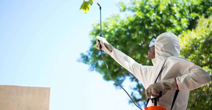 Man doing pest control