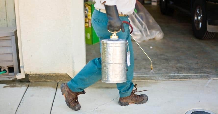 Man with Pest Control Spray