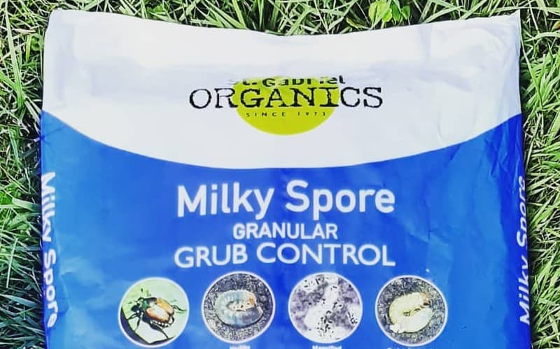 Milky Spore Grub Control