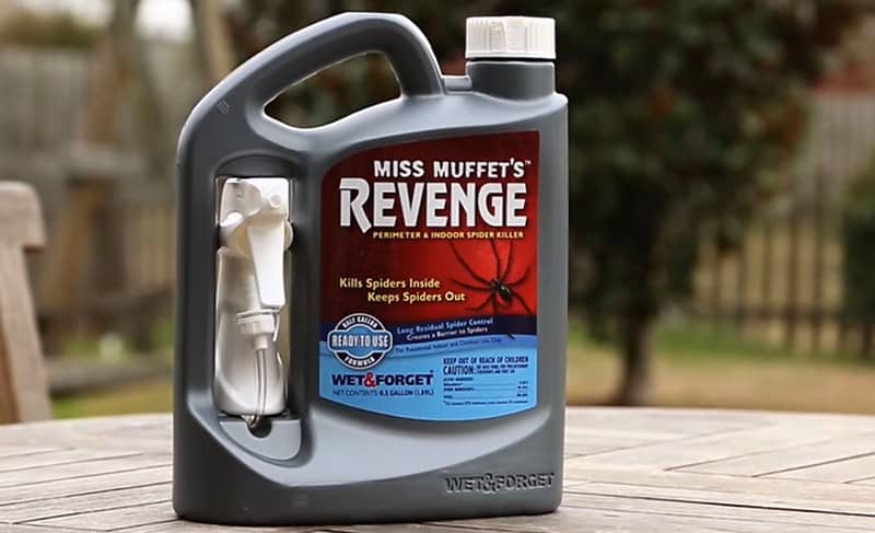 Miss Muffet's Revenge Indoor and Outdoor Spider Killer