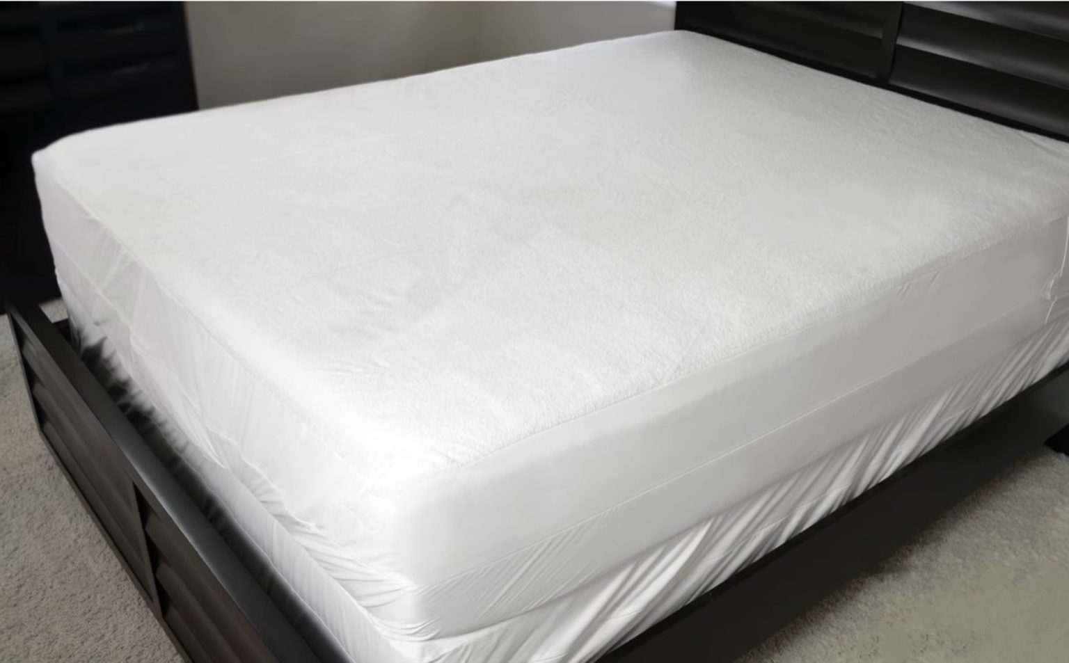 best dust mite mattress cover reviews