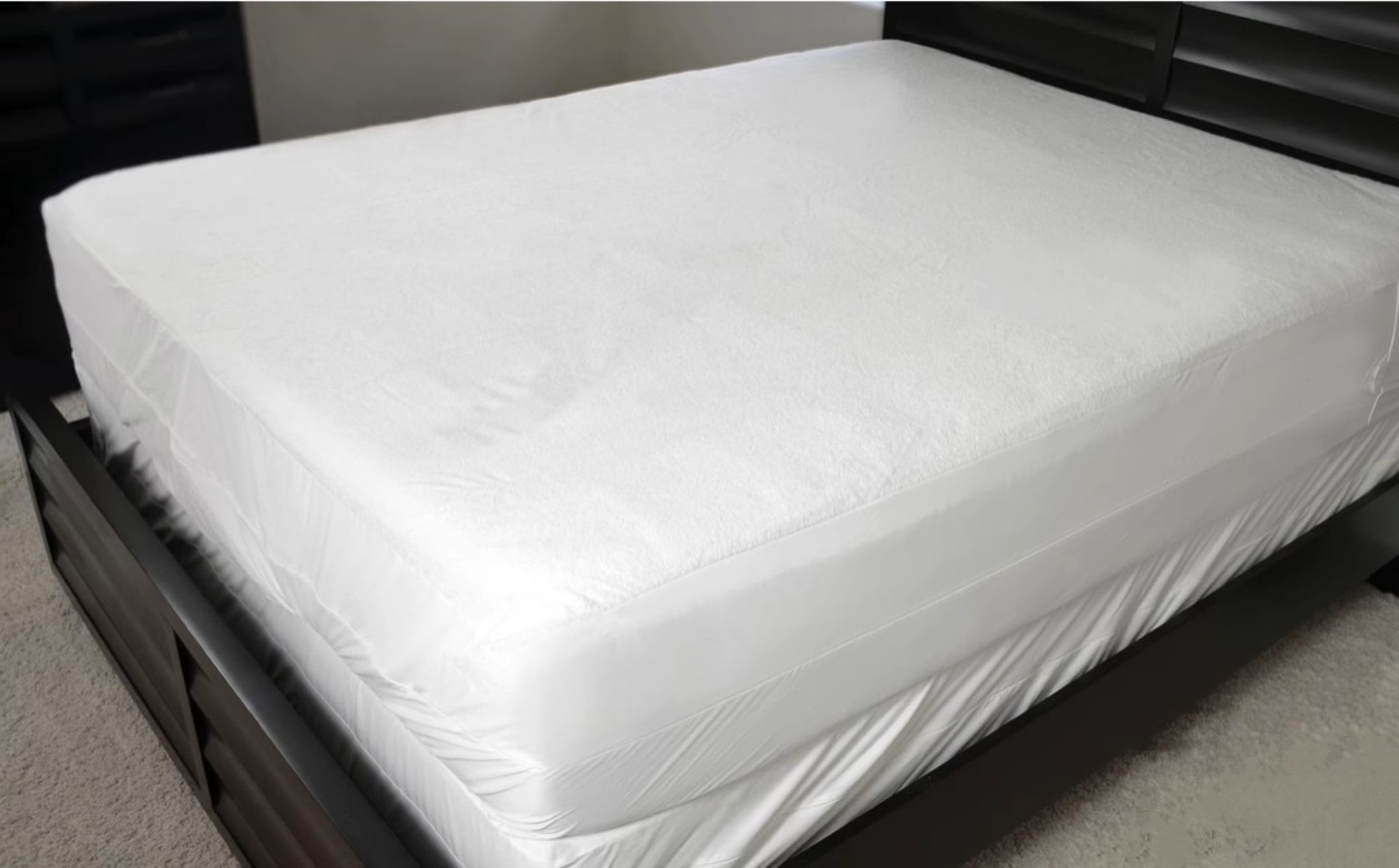 dust mite mattress cover ratings